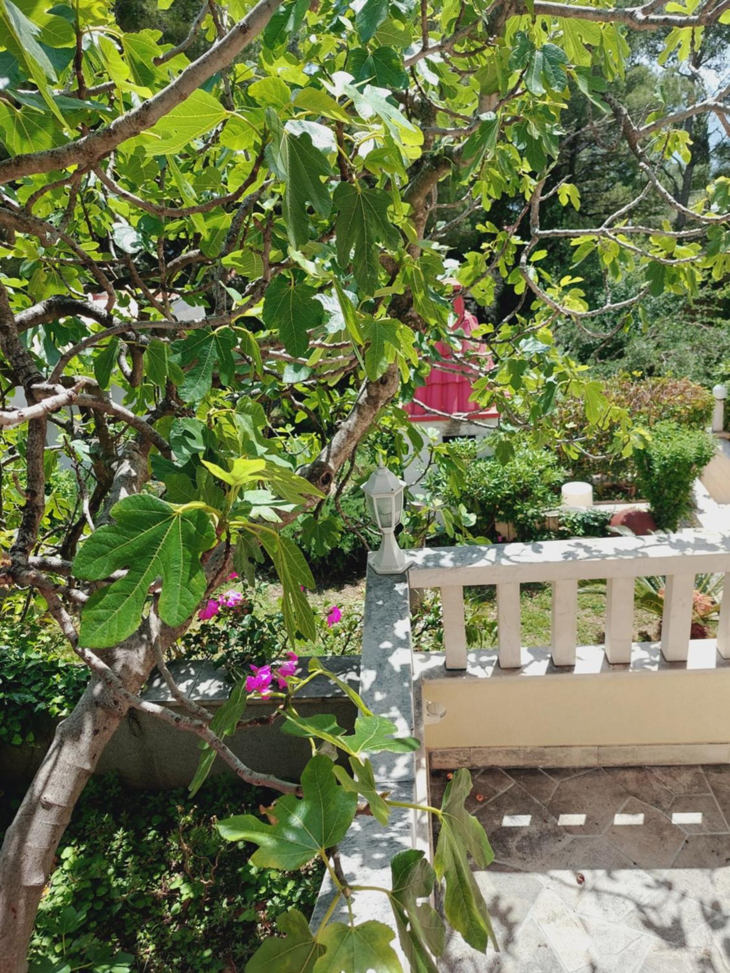 באסקה וודה Villa Rosso חדר תמונה